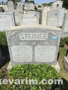 Steiner 5