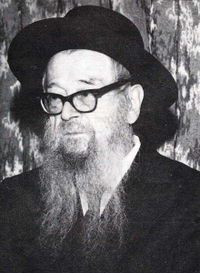 Dworkin Zalman Shimon pic new