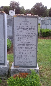 Steinberg (1)